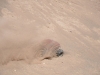 Knappt man ser Monas bil pga paddeldäcken som kastar sand.