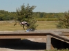 D20_0470